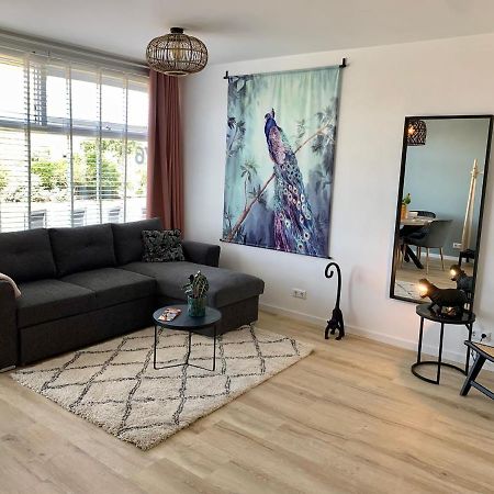 Amsterdam Beach Apartment 76 Zandvoort Bagian luar foto